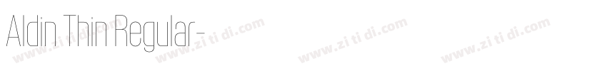 Aldin Thin Regular字体转换